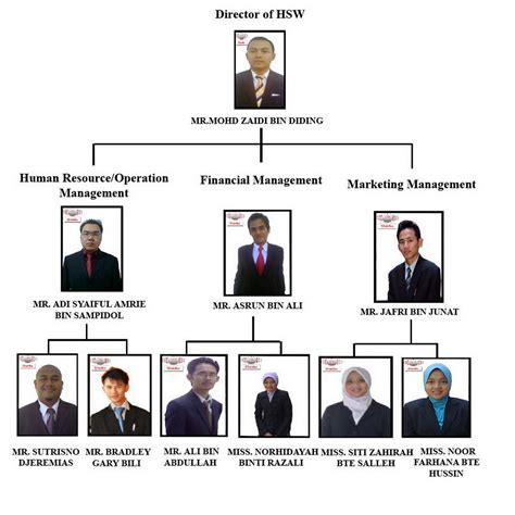 organigramma rolex|rolex organizational chart.